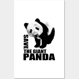 SAVE THE GIANT PANDA Posters and Art